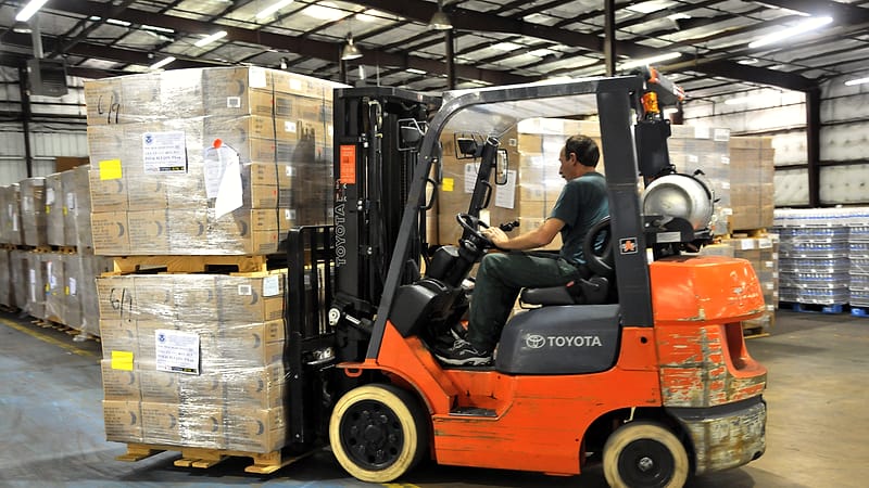 A wide interior of a distribution building with racking bays, marked floor lanes and pallets under high ceilings.